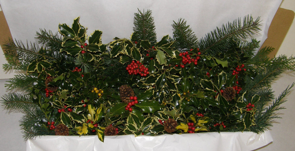 1R - REINDEER - Mixed Evergreens with Holly