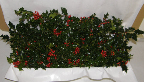 3G - GREETINGS - Boxed Holly