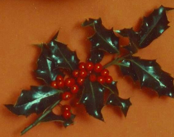 1BGT - BRING GOOD TIDINGS - Holly Tips