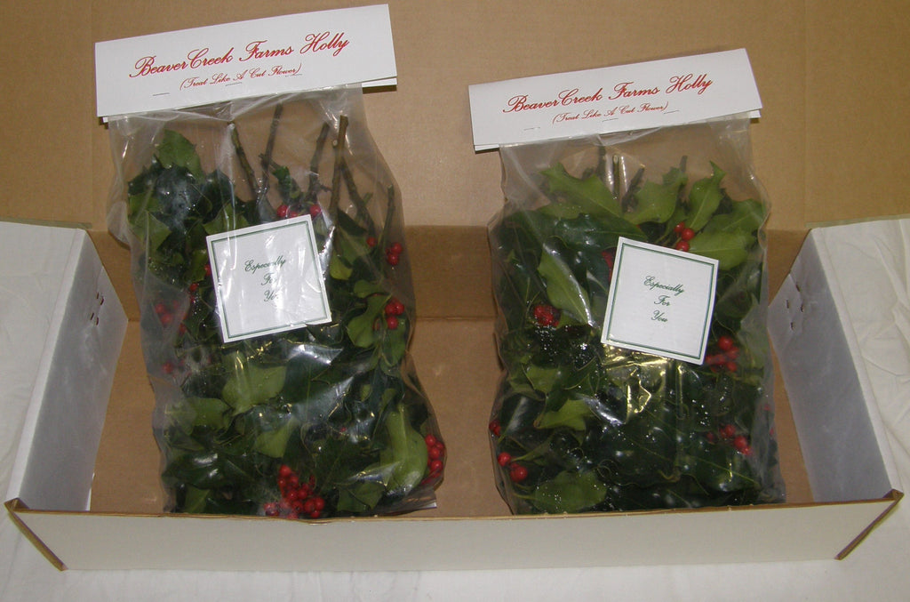 2HG - HARMONIZE - Green Totes