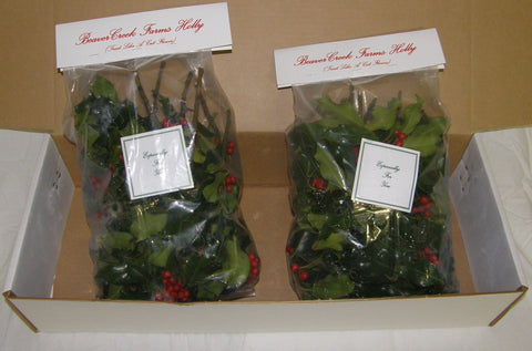 2HG - HARMONIZE - Green Totes