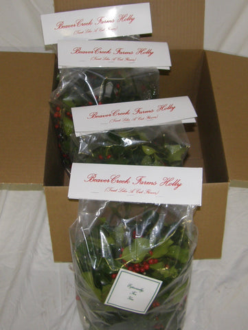 4HG - HEARTY - Green Totes