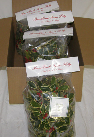 4HV - HEARTY - Variegated Totes